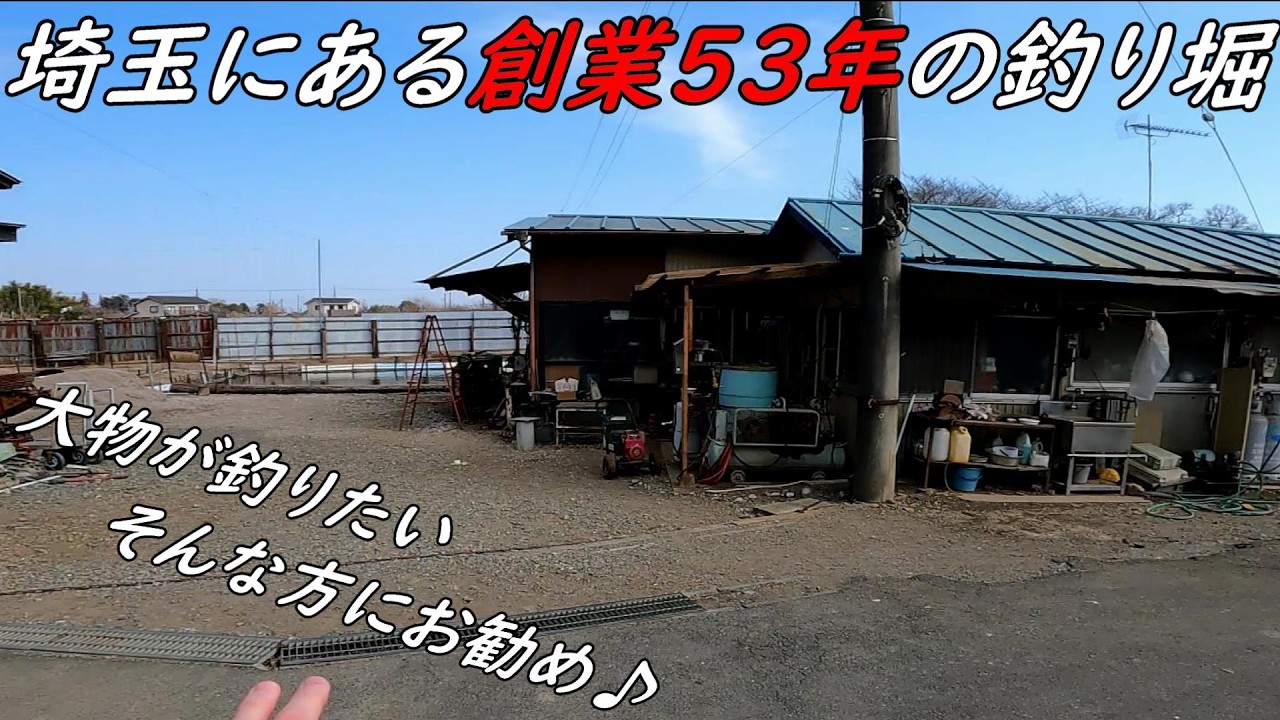 埼玉にある創業５３年の釣り堀が楽し過ぎた