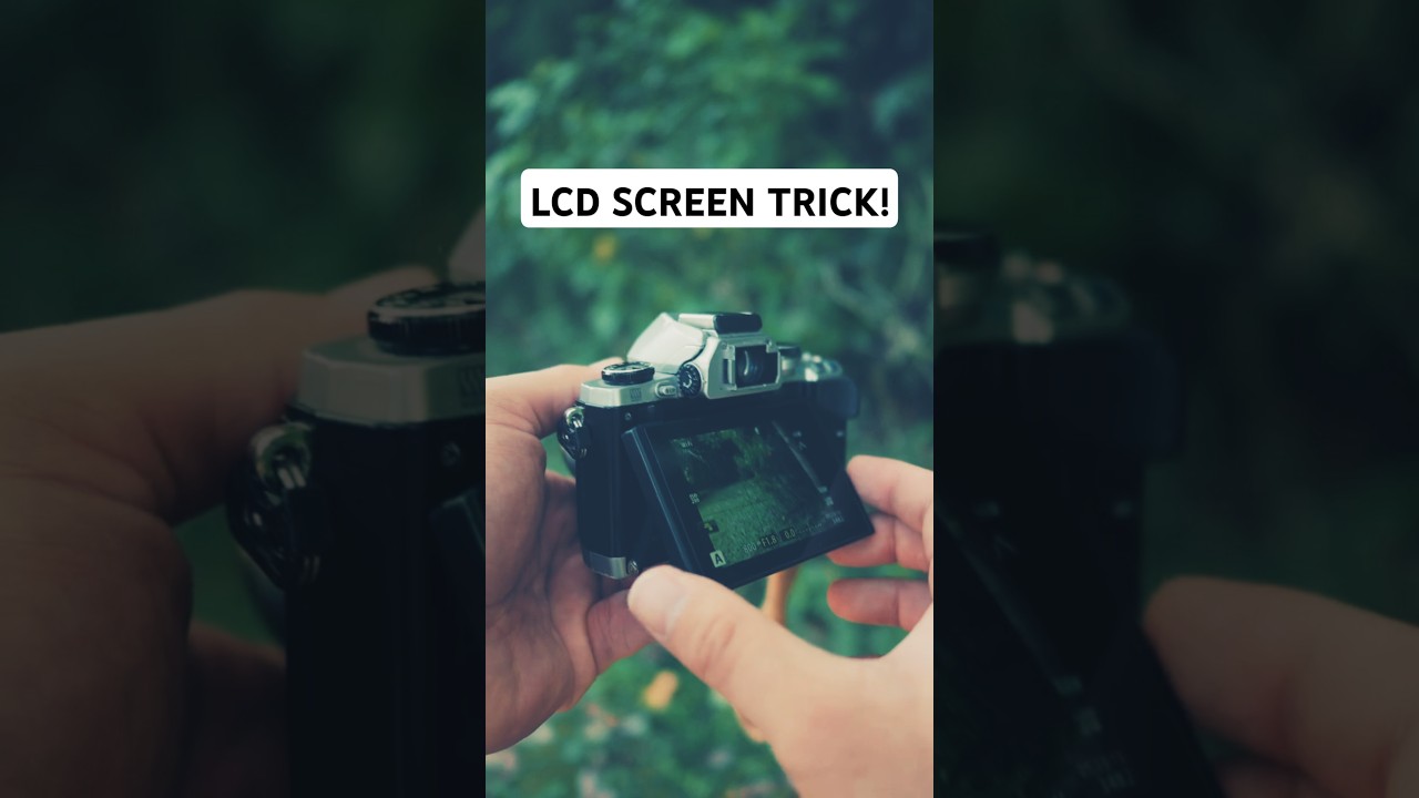 Cool LCD Trick For Olympus/OM System Cameras