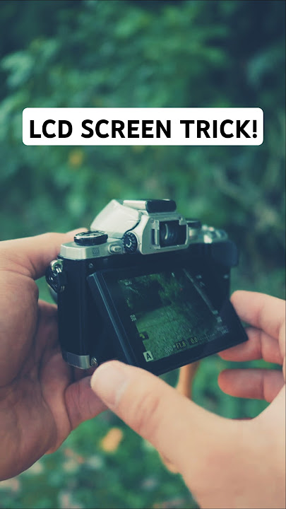 Cool LCD Trick For Olympus/OM System Cameras