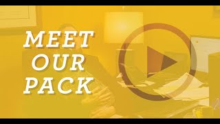 Hollywood Feed Corporate Team