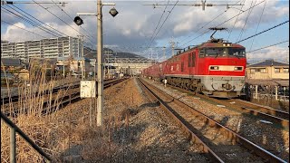 【貨物列車】EF510 13 レッドサンダー+コキ19B
