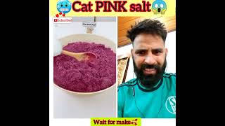 Mama wants some pink salt #thatlittlepuff #ChefPuff #catsofyoutube