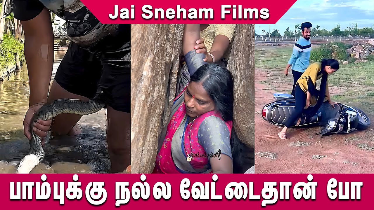 😂😎பாம்புக்கு நல்ல வேட்டைதான் போ Funny Video | Reaction video | #funny # ...