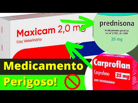 [REMEDIO] ANTI-INFLAMATÓRIOS PARA CACHORRO - Melhor Remédio para Dor