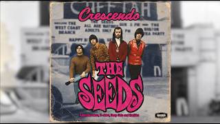 The Seeds - The Seeds (1966 Full Album) - YouTube