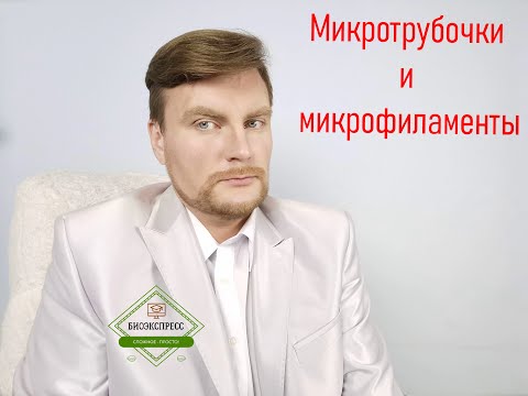 Микротрубочки и микрофиламенты. ЕГЭ Биология. ЕГЭ 2022.