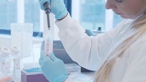 Our FAS, Louise Leth Hefting, tells her story