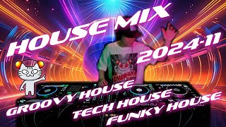 Tech House Funky House & Groovy House DJ Mix 2024-11 - Takker Sabashiro