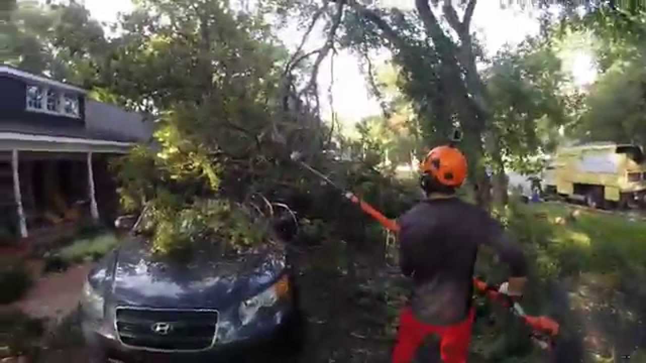 Storm cleanup with Integrity Tree Care - YouTube