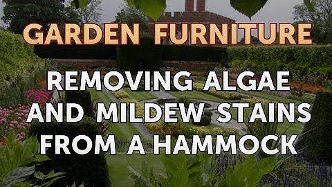 Removing Algae and Mildew Stains From a Hammock