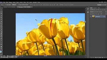 026  - Adobe Photoshop CS6 - Zoom Hand Tool