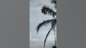 Ugly transition? #transition #edit