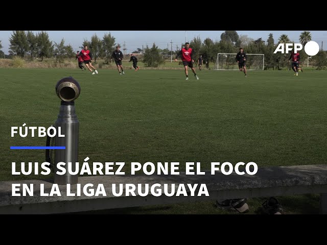 Fútbol uruguayo: la devaluada liga que Suárez puso en la mira de