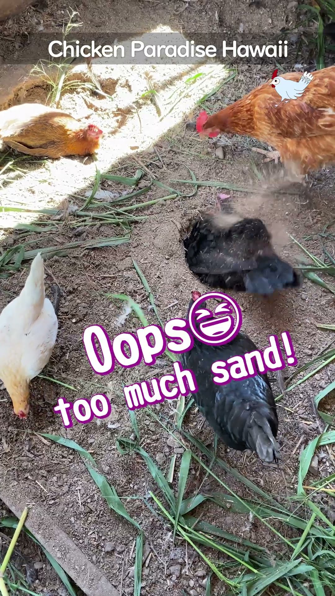 A sand bath for two