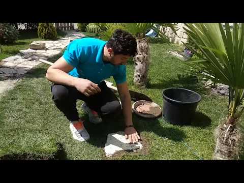 ბილიკის მოწყობა მარტივად