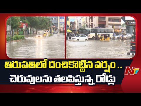 Tirupati Rains : తిరుపతిలో దంచికొట్టిన వర్షం .. చెరువులను తలపిస్తున్న రోడ్లు  | NTV Telugu - NTVTELUGU
