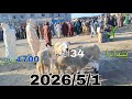اليوم من سوق جمعة تفتاشت 2026 5 1 ثمن حولي العيد من 1700درهم خروف العيد ماعز الخير موجود