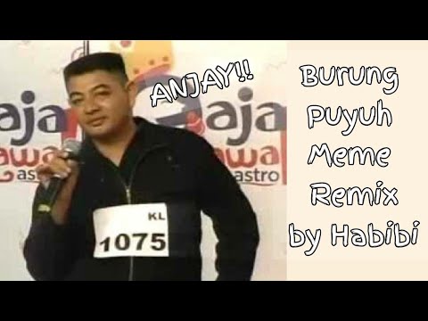  Burung Puyuh Meme  Remix By Habibi Studio YouTube