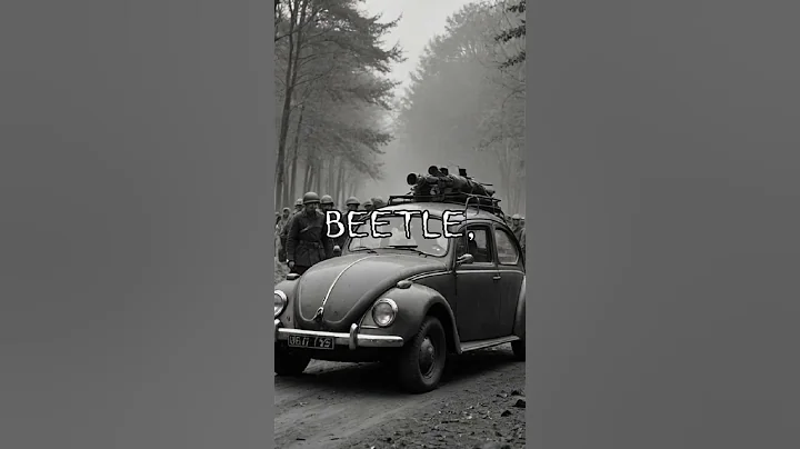 How Hitler's Vision Created the Iconic Volkswagen Beetle