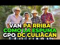 Nos cantaron unas canciones el grupo DC Culiacán | Algo bien