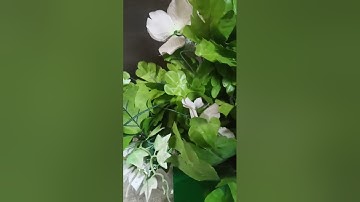 ماتيسر من سورة فصلت/ بصوت القارئ عيسى تغيان