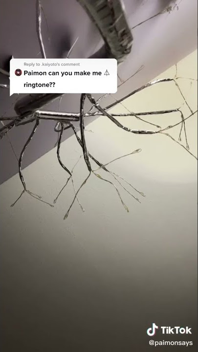 PAIMON RINGTONE ||NOT MINE