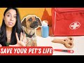 What to do in a PET EMERGENCY  First Aid for Pet Parents!!