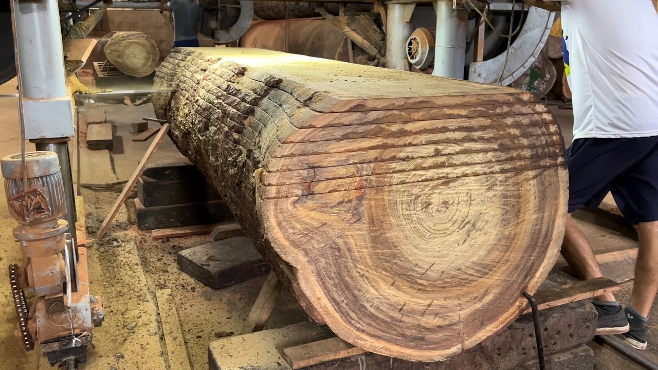 Extreme Wood Cutting Sawmill Machines | Giant Ironwood | The Process Of ...