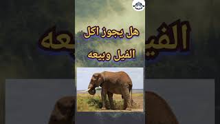 هل يجوز اكل و بيع الفيل ❓ وجواب للشيخ صالح