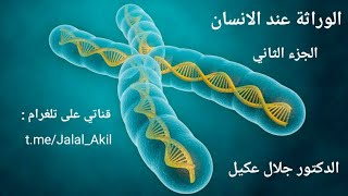 الوراثة عند الانسان الجزء الثاني - الدرس الرابع - الوراثة مع الدكتور جلال عكيل