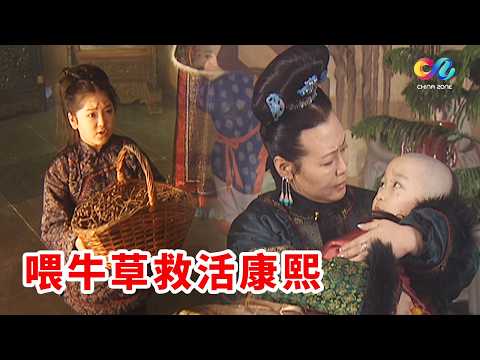 Young Kangxi Contracts Smallpox, a Young Maid Saves Him with a Basket of Cow Grass, Changing a Ce...