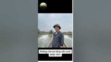 NUÔI TÔM TRONG BỂ 20M2 VỚI HIỆU SUẤT CỰC CAO | VŨ ĐỨC THIỆN