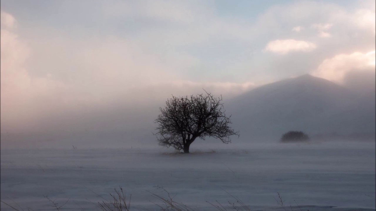 Bedir dilekci - Mustafa ve Arab Alkan'ın ağıdı