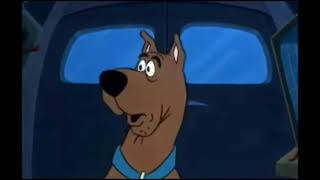 Shaggy Gets Canned By Scooby