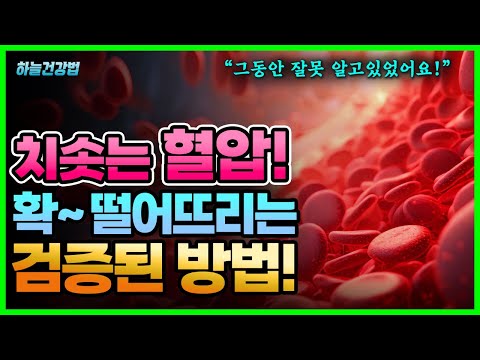 치솟는 혈압 원인과 혼자서 쉽게 할 수 있는 <strong>고혈압</strong> <strong>관리법</strong>! 아침 <strong>고혈압</strong> vs 야간 <strong>고혈압</strong>