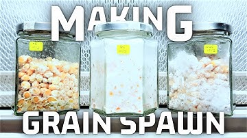 How to MAKE GRAIN SPAWN TO GROW MUSHROOM @ HOME | 3PTV EPISODE 4