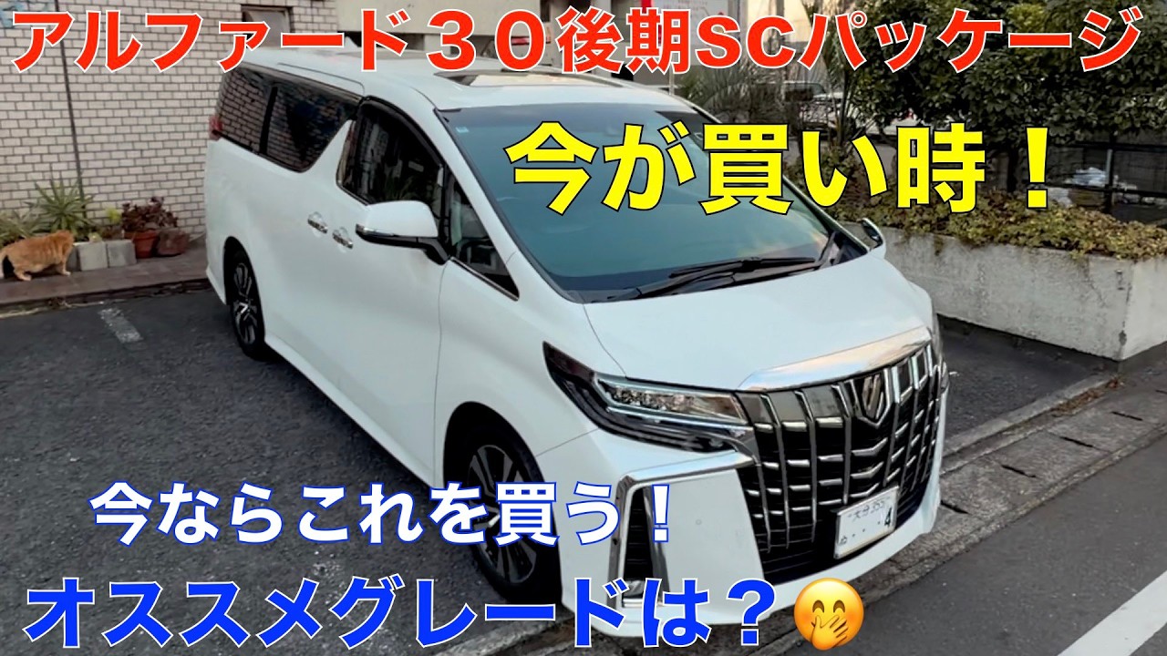 今が買い時！３０アルファードSCパッケージ 今が狙い目の（後期）購入を検討の方の参考になれば嬉しいです＾＾オジサン達のガチトーク！(サンルーフは必要？要らない？）😀