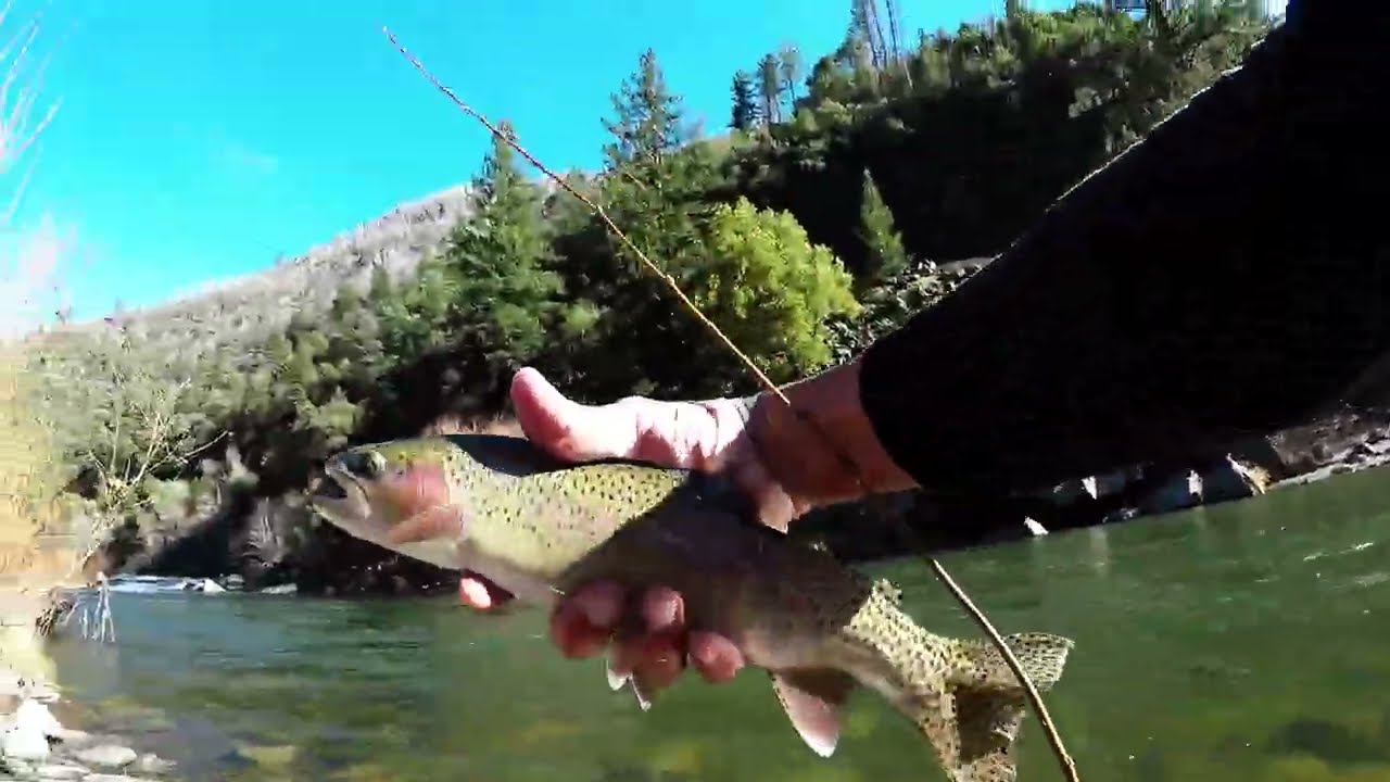 Дикие радуги реки Фезер