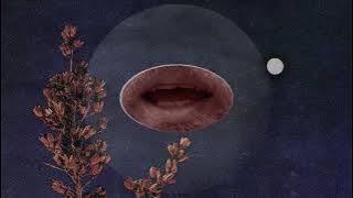 Ryan McMurtry – One More Night (Music video)