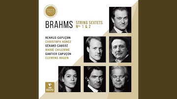 String Sextet No. 2 in G Major, Op. 36: II. Scherzo - Allegro non troppo