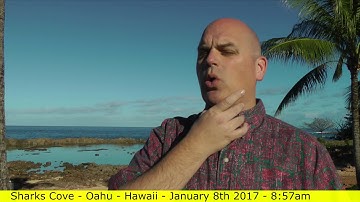 How to build rapport & start a conversation - Give a compliment (7 of 7) Scott Sylvan Bell