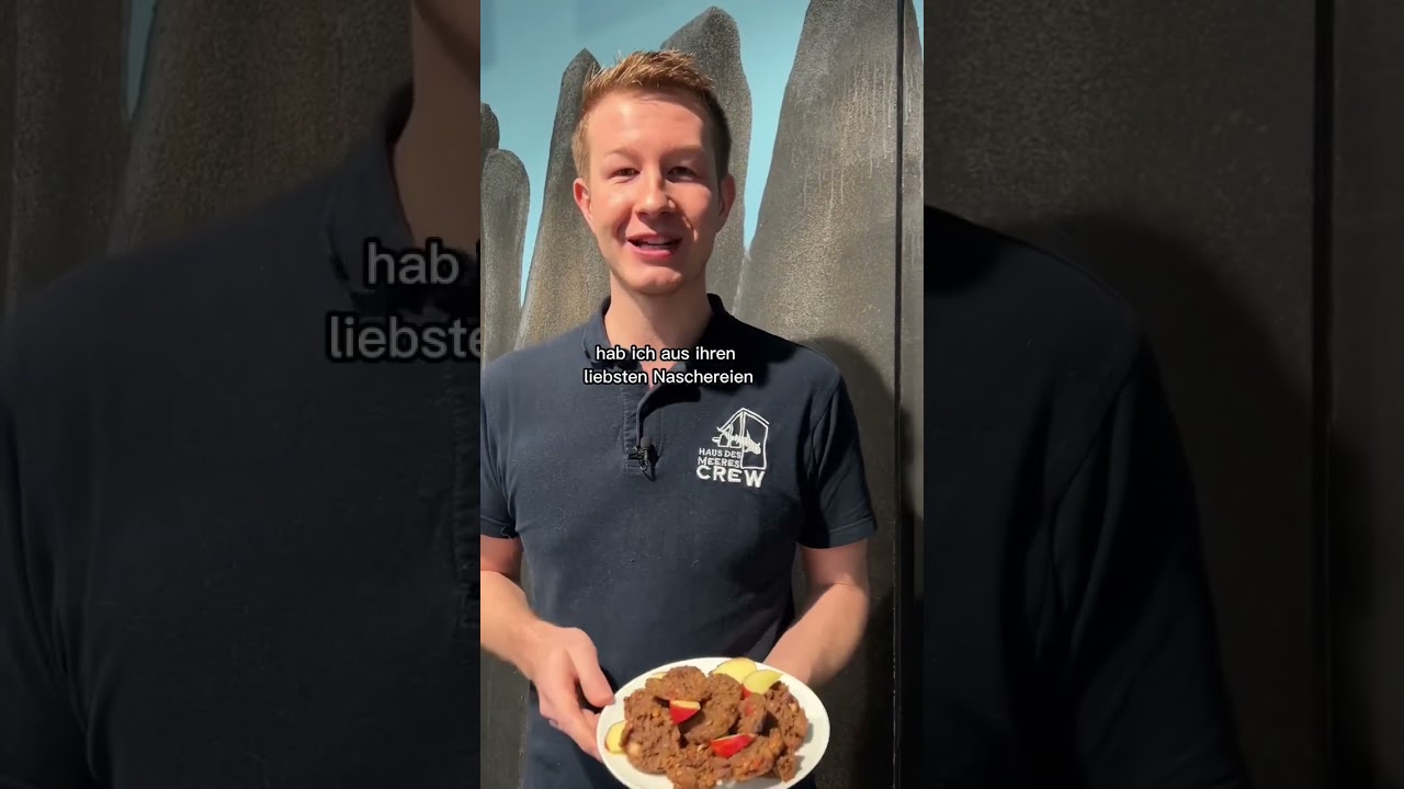 Weihnachtskekse für unsere Kattas 🐒🎄 