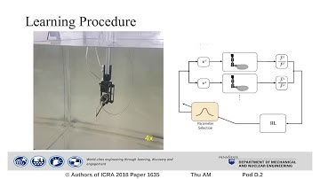 Real-Time Learning of Efficient Lift Generation on a Dynamically Scaled Flapping Wing Using Policy S