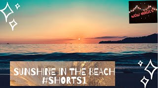 #shorts #beach #sunrise Beautiful sunrise on the beach |Oman beach | sunrise | #shorts1