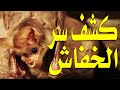 كشف سر الخفاش وفيما يستخدم عش الخفاش