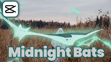 How to add Midnight Bats effect to video in CapCut App