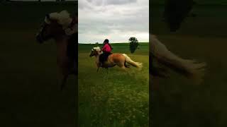 How Flying Feels Like