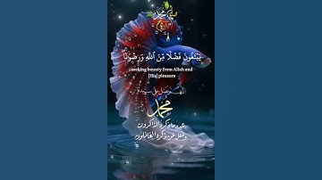 تلاوة خاشعة عطرة مباركة جميلة عذبة للشيخ ماهر المعيقلي ماتيسر من سورة الفتح