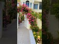 beautiful garden ideas #gardens#home #homedecor #homedecor #reels #