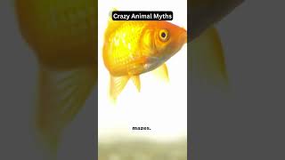 Debunking Animal Myths You Always Believed!